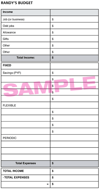 My Budget Form sample